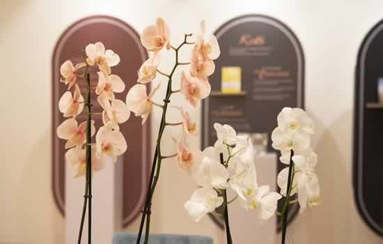 Articoli per celebrazione funerali