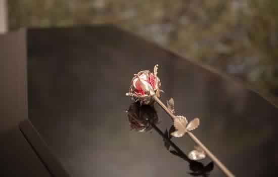 Rosa per decorazione cofano funebre